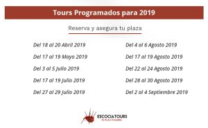 fechas programadas 2019