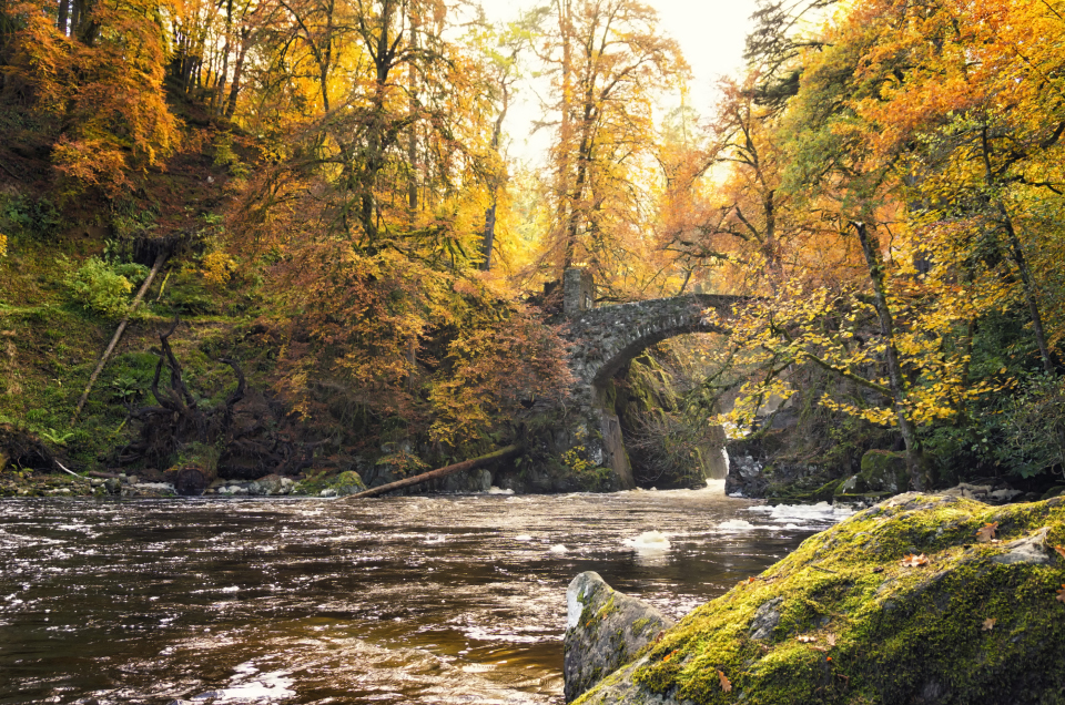 Bosque del Ermitaño Escocia