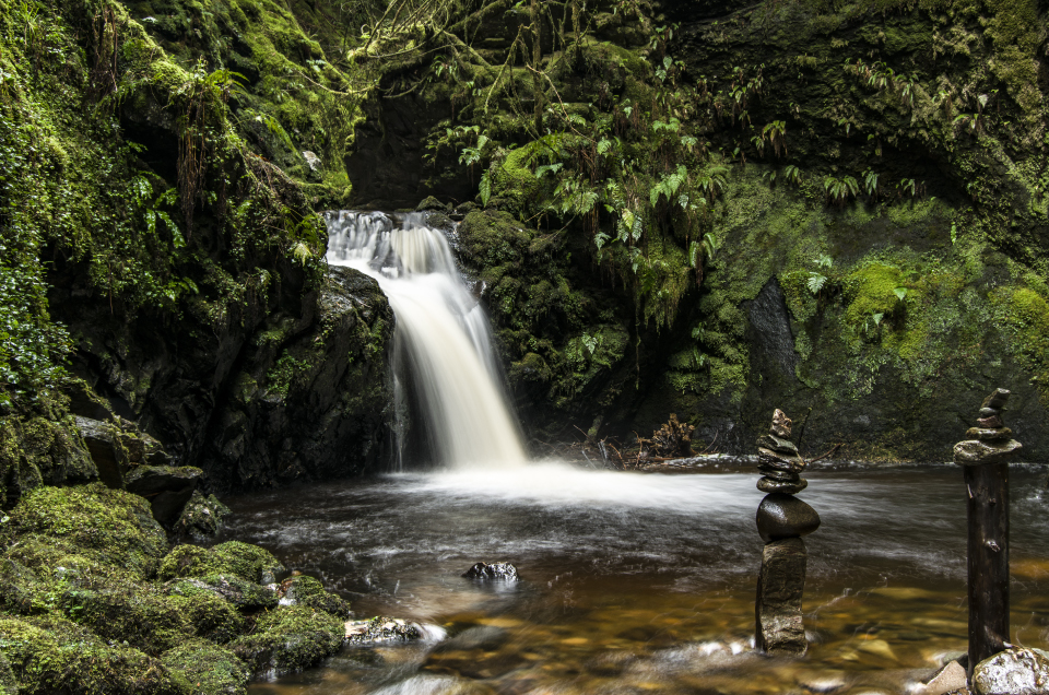 Puck's Glen