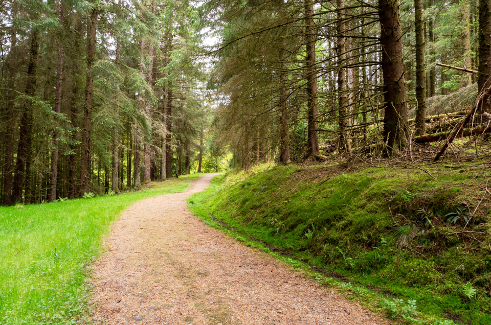 Parque Forestal de Argyll 