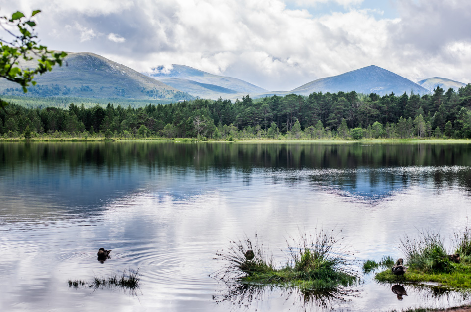 Parque Nacional de los Cairngorms